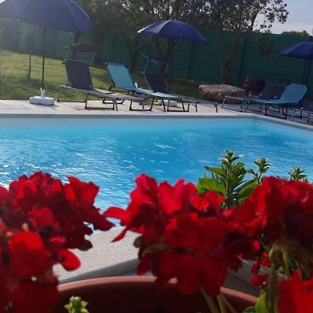 Holiday Home Dioniza Vodnjan Exterior foto