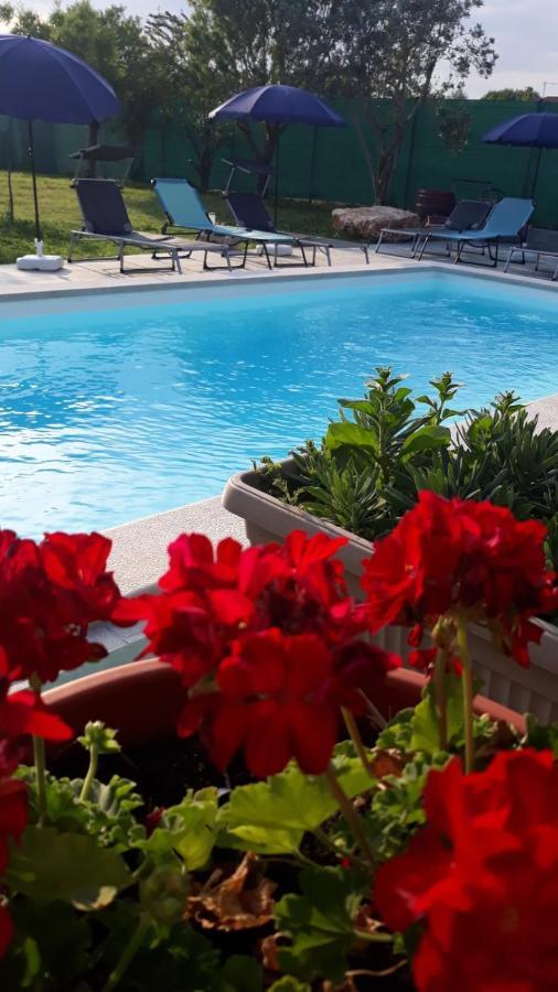 Holiday Home Dioniza Vodnjan Exterior foto